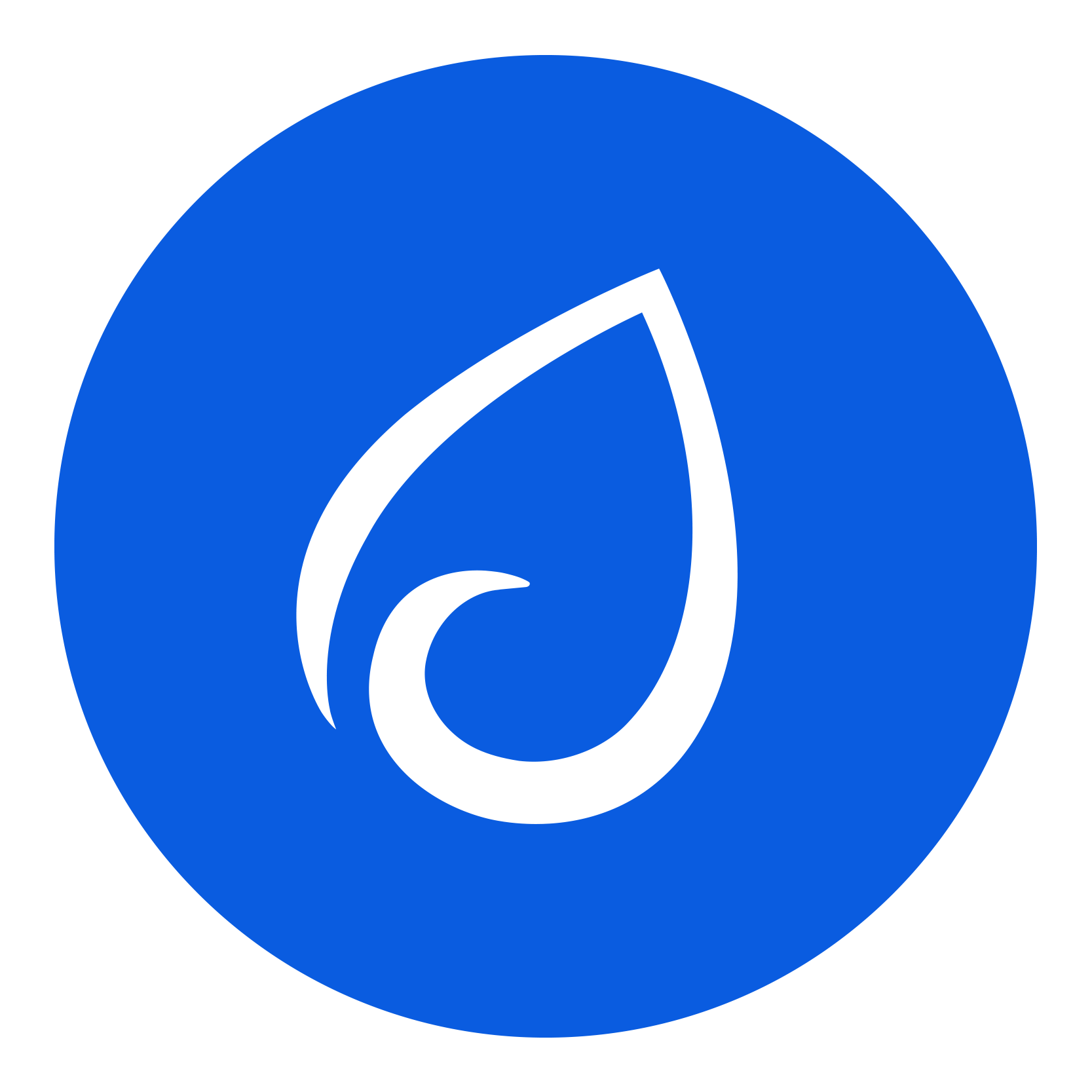 DisplayLink Manager